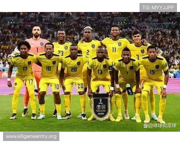 世界杯科特迪瓦厄瓜多尔队伍阵容完整预测及比赛关键球员分析报告